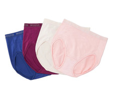 Breezies Set of 4 Nylon Microfiber Hi-Cut Briefs Medium Classic A287800 12985