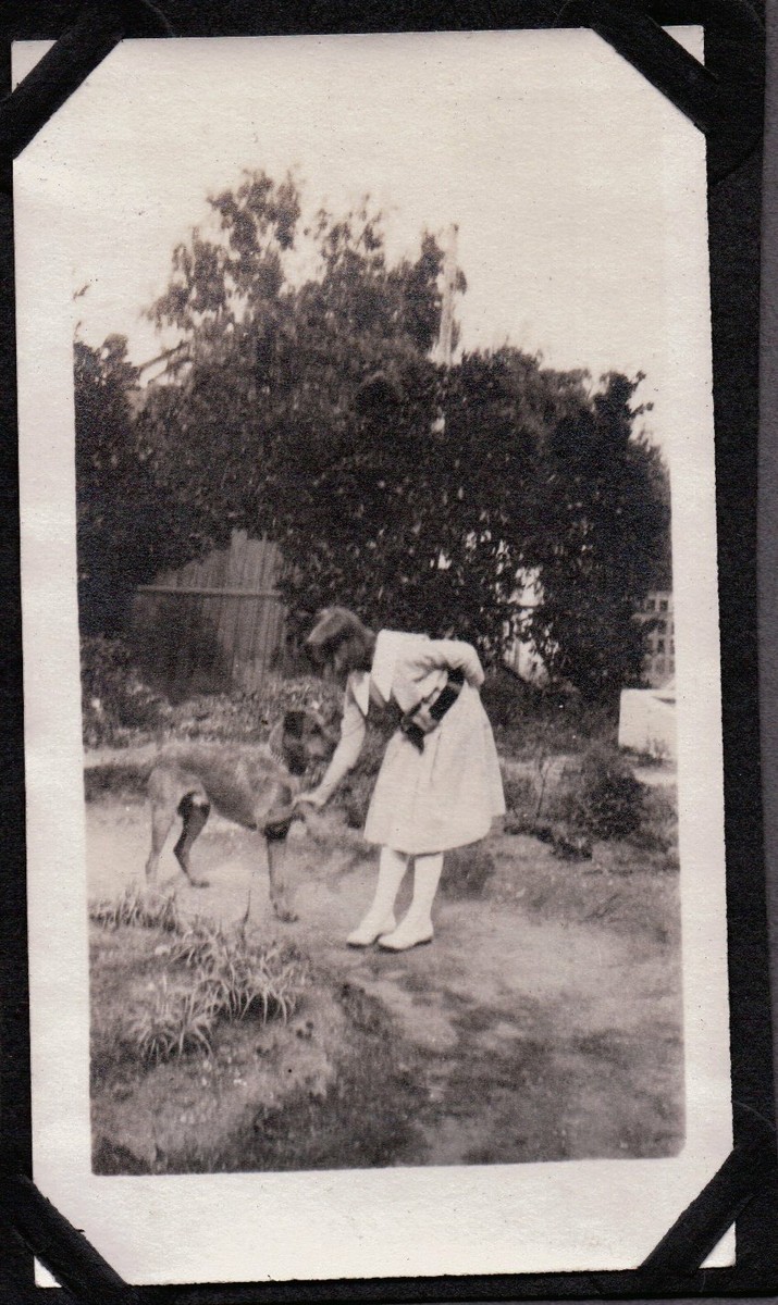 VINTAGE GIRLS FASHION DOG/PUPPY POTTENGER