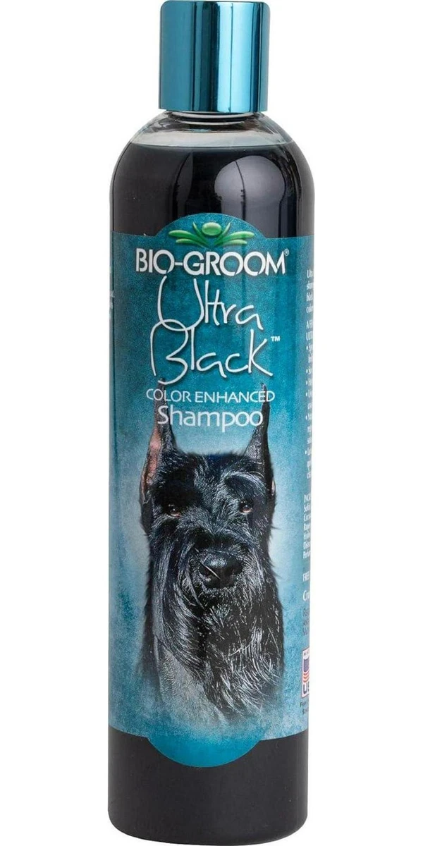 Bio groom black shampoo top