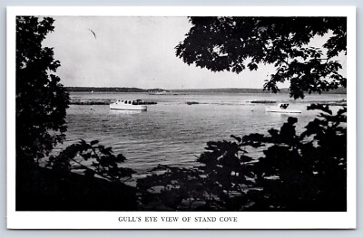 Postcard ME Gulls Eye View Of Stand Cove Cape Rosier Maine AX3
