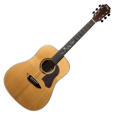 Gopherwood K800RE Dreadnought Acoustic Guitar All Solid Dual Source Pickup