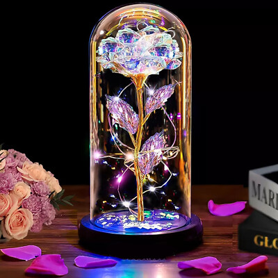Valentine's Day Gift Enchanted Eternal LED Rose Flower In Glass Dome LED Light