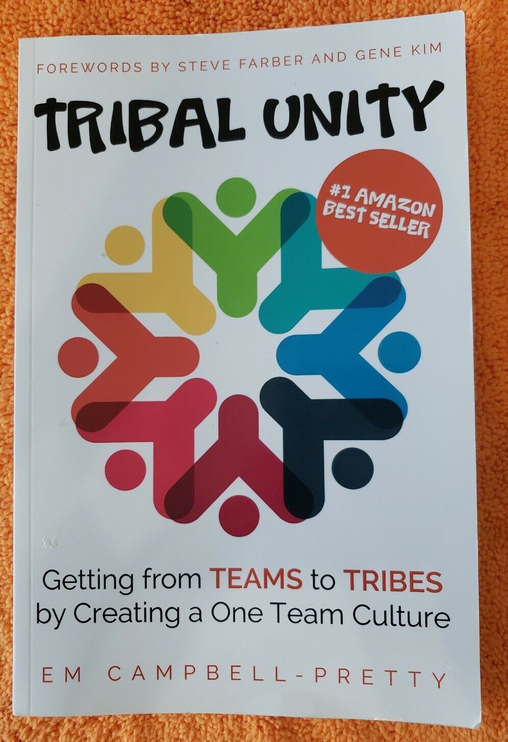  Tribal Unity: Getting from Teams to Tribes by Creating