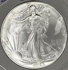 1 Ounce 0.999 Fine Silver 2023 Walking Liberty Eagle