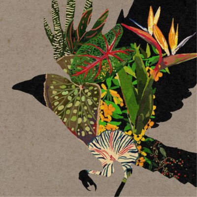 Various Artists @0: Curated and Mixed By Coldcut and Mixmaster Morris (Vinyl)