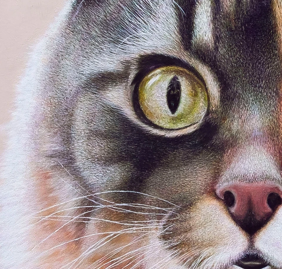 Anastasia Woron: "El Gato.El Basilio." - Óleo Original Firmado (60x60 cm.) 2024 - Imagen 4 de 4