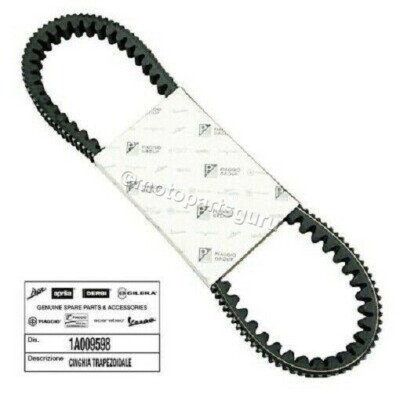 1A009598 OEM Drive V Belt Piaggio MP3 250 Vespa GT60 GTS GTV 250 300 Sei  Giorni