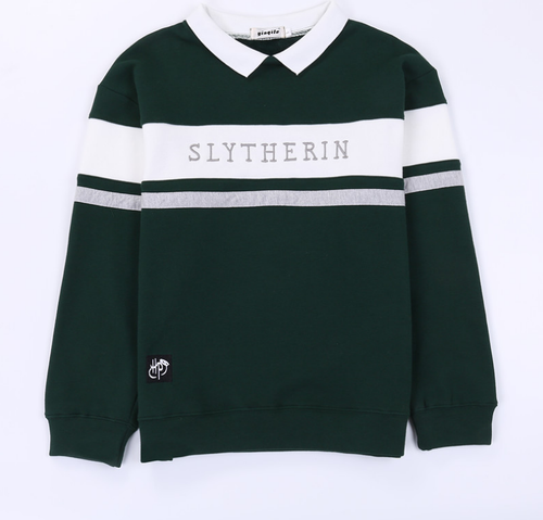 Harry Potter Slytherin Quidditch Team 
