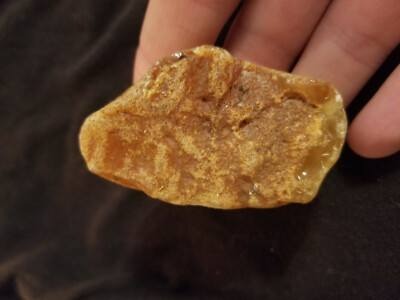 Bernstein Amber Butterscotch 24 Gramm