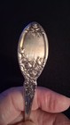 Alvin Patent Sugar/Soup Spoon Bride's Bouquet  Silverplate 1908 — photo 6