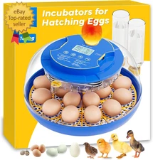 18 Incubators for Hatching Eggs, Automatic Egg Turning and Humidity Control, 360