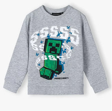 Image of Minecraft kids' sweater