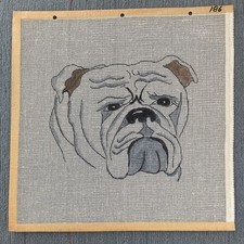 ENGLISH BULLDOG Hand Painted Needlepoint Canvas 14 x 14 VIP 186 NEW