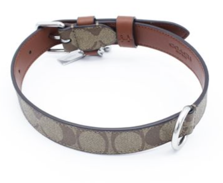 COACH Dog Pet Collar Large New Boxed KHAKI SADDLE CH154 20” | eBay