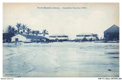 APMP11-0736-GABON - Port-Gentil - Kombi Lenkgetriebe Cefa