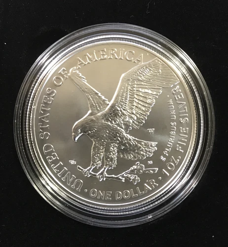 American Eagle 2021 One Ounce Silver Uncirculated Coin 21EGN - Burnished 2021-W
