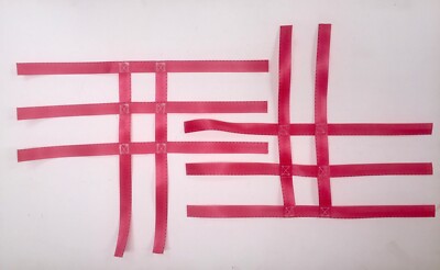 Yamaha Raptor 250 ATV Quad Nerf Bar Netze Gurtband rot Größe siehe Beschreibung