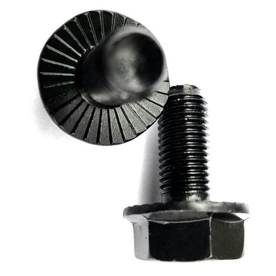 Bike CrankArm Bolt 24mm Total Length M8 8mm Thread Diameter New Set Of 6