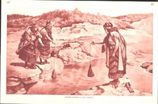 Original Old Antique Print Maoris Cooking Hot Springs Drawing By J Macfarlanenz