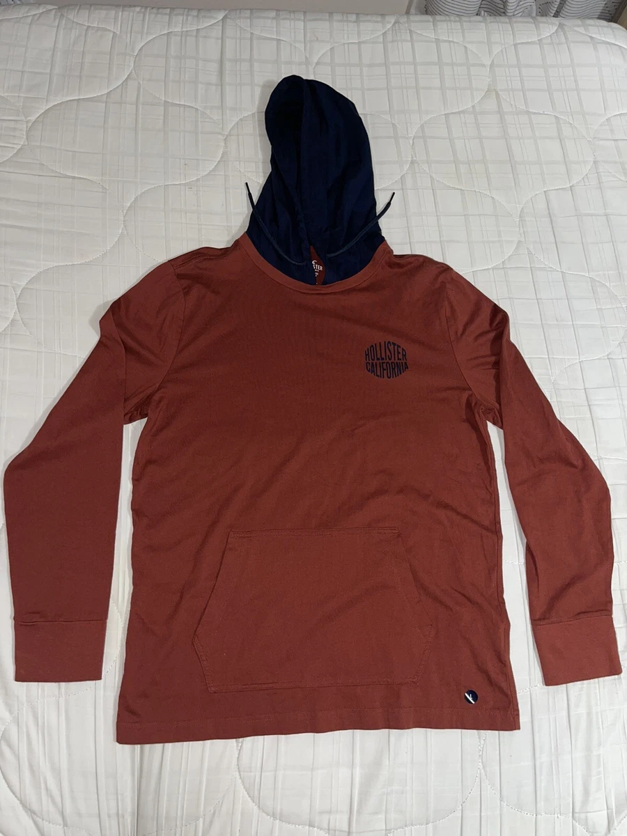 Hollister hooded sale tee