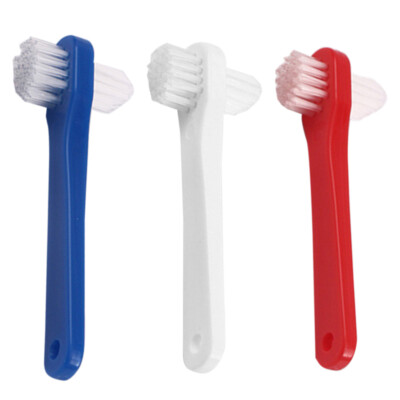 3 Pcs Denture Brush Hard Bristle Toothbrush for Adults Soft Home