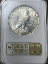 1923 $1 NGC AU-58 3.0 Gold Embossed Fatty Peace Silver Dollar