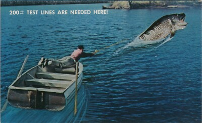 #ad Test Lines Are Needed Here Eau Claire Wisconsin Comical Chrome Vintage Post Card $10.56