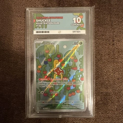 Shuckle 136/132 Illustration Rare English Pokémon Card Ace 10 Gem Mint