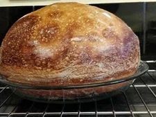 ALASKAN SOURDOUGH STARTER bread yeast very strong, alaska sour big active alaska