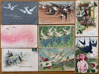 Petit lot de 8 x CPA gaufrées 1900: LES OISEAUX Hirondelles & Colombes