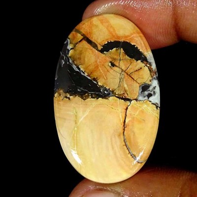 49,40 Ct Natürlicher Maligano Jasper Ovaler Cabochon Lose Edeltropfen 26x42x5 mm