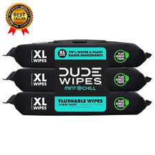 Flushable Wipes - 3 Pack, 144 Count - Mint Chill Extra-Large with Vitamin-E