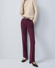 NWT Ann Taylor Burgundy Mid Rise Slacks Size 4 Petite The Sophia Curvy