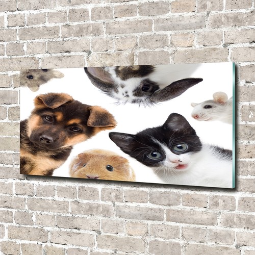 Tableau Déco « Les Yeux Du Chat » Sur Verre Acrylique - Format 70x100 Cm, Style Moderne, Noir - Marque Tulup, Idéal Pour Un Intérieur Contemporain