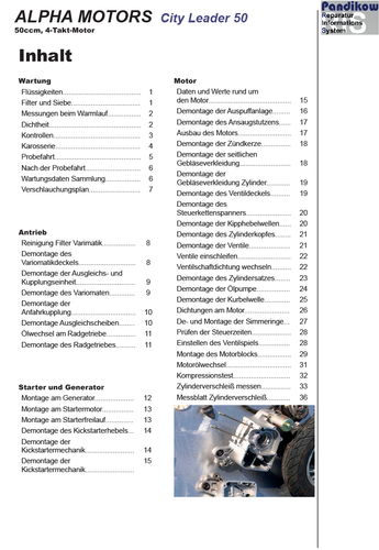 Reparaturanleitung RIS Alpha Motors City Leader 50, Euro 4, Antrieb und ...