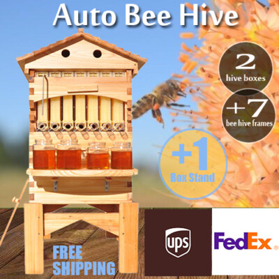 #ad Auto Bee Hives Beekeeping Box Comb Honey House 7 Beekeeping Frames Hive Stand $251.63