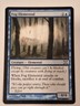 Fog Elemental - 10th Edition Core Set - Magic the Gathering MTG Nice!