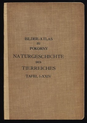 Bilder-Atlas zu Pokorny Naturgeschichte des Tierreiches Tafel I-XXIV Pokorny: