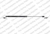 LesjÖFors 8142103 Gasfeder FüR Jeep Heckklappe/ Kofferraum Hinten