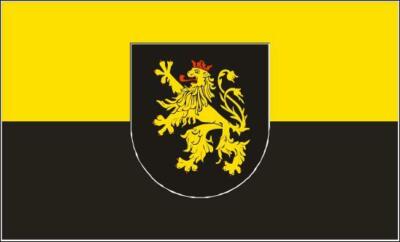 Miniflag Pfalz mit Wappen 10 x 15 cm Fahne Flagge Miniflagge