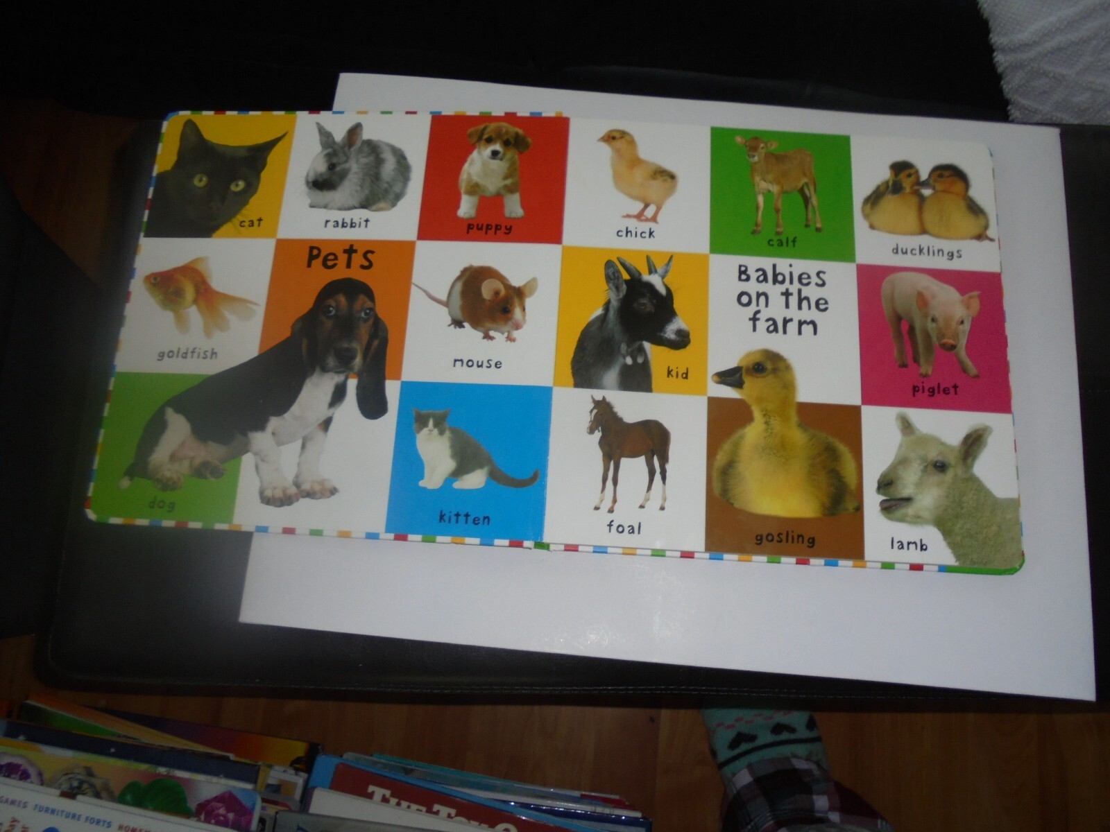 First 100 Animals *Bright Baby* Board Book 0ver 100 Pictures Very Large kids bk eBay