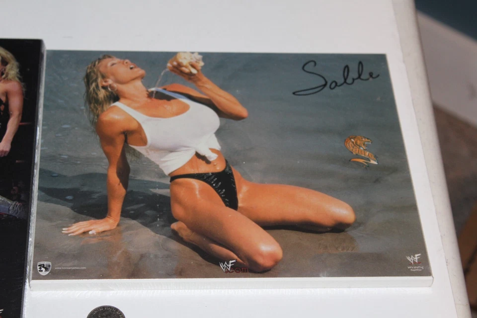 2 未拆封 WWF 黑貂 Norman James Wood 悬挂牌匾海报 10x8 英寸全新无标签 MISP 1990 年代 — 第 2/4 张图片