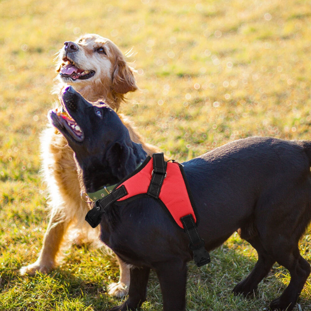 Dog Harness Large for Walking Puppy Breed Dogs Small Durable