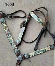 Used Tack Set 100$