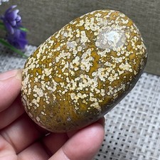 Natural marine Jasper Ocean Stone raw stone rock polished Mineral Specimen 114g
