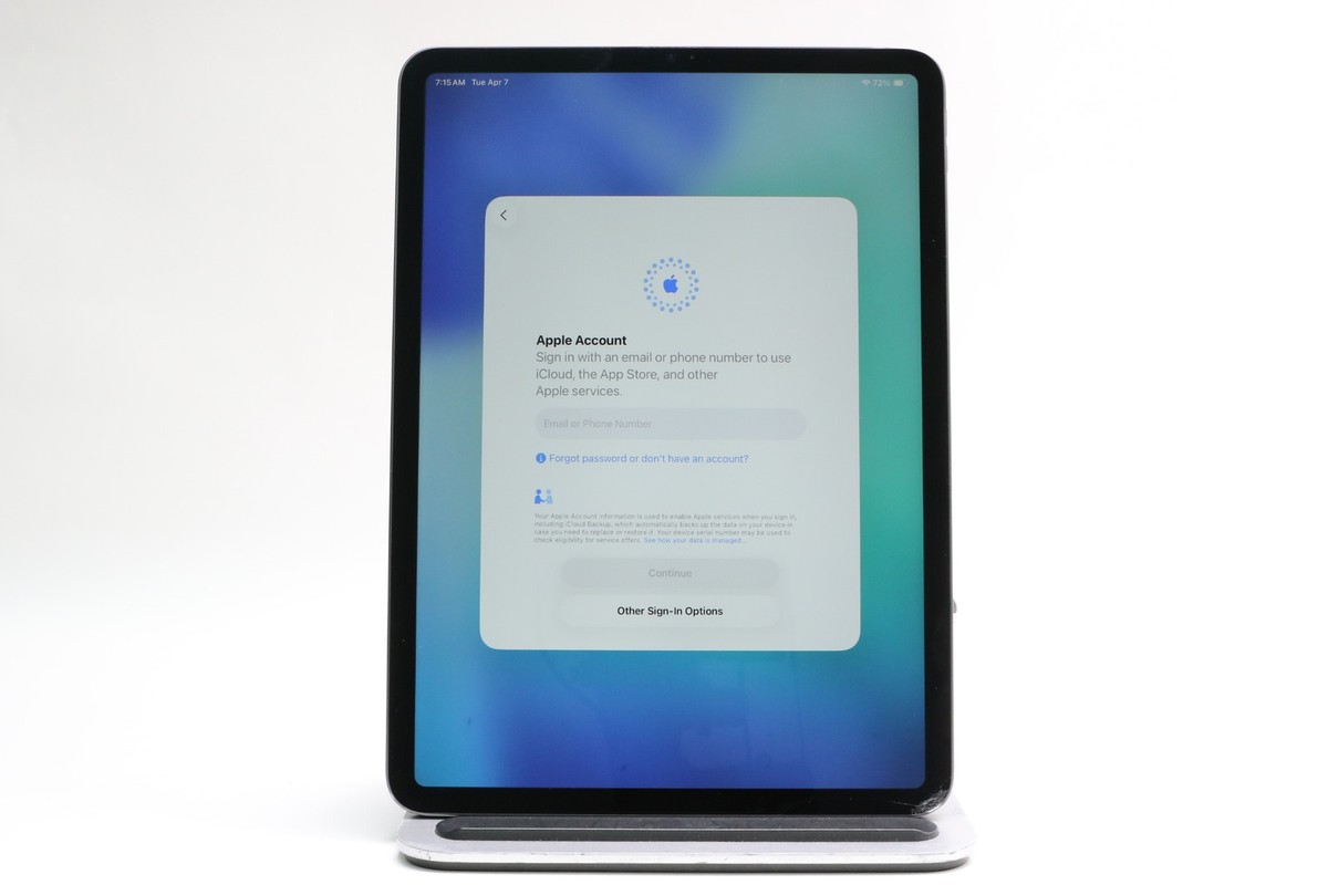 Read! Working! iPad Pro 11