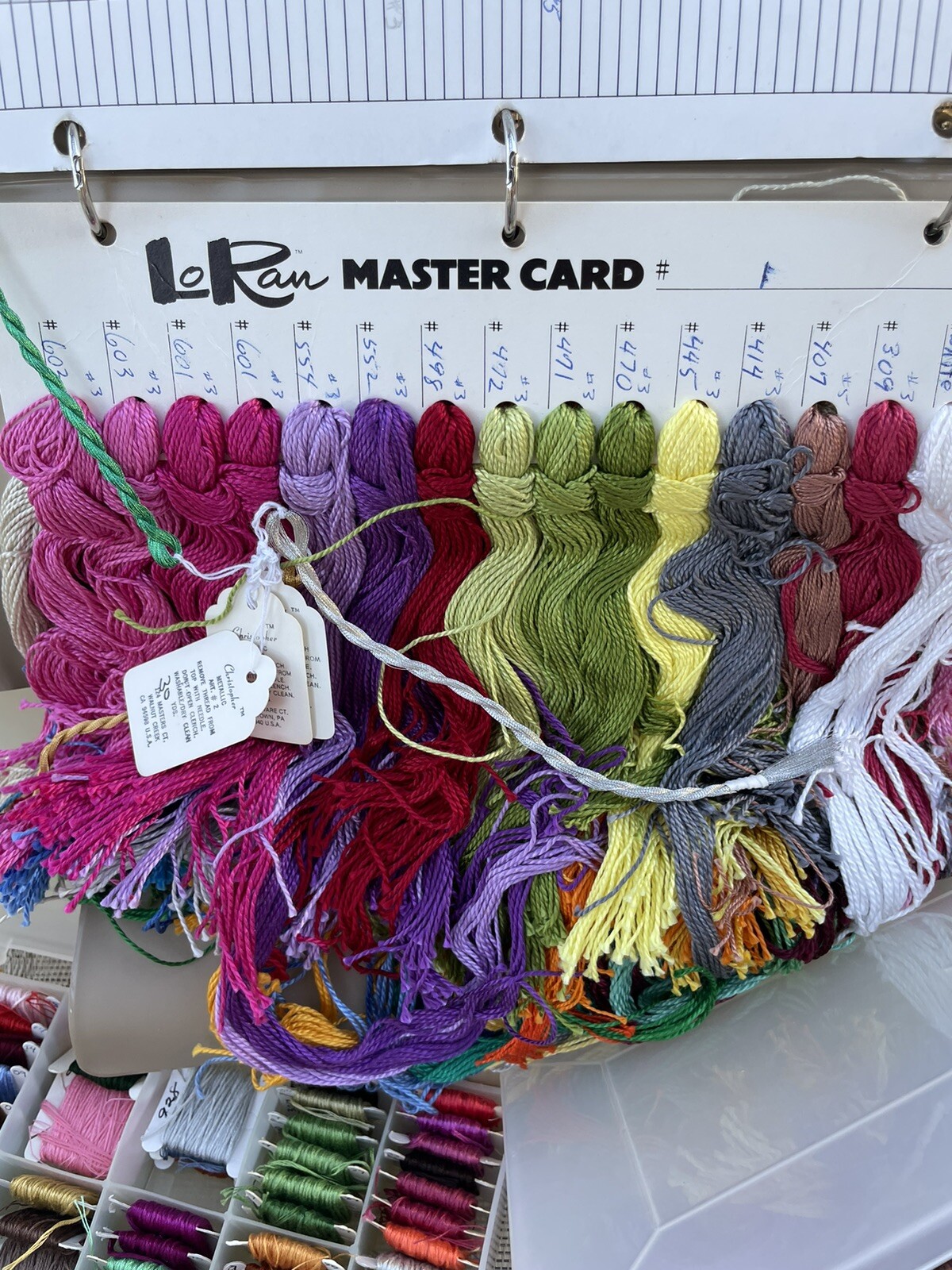 HUGE LOT Cross Stitch Thread Lo Ran Skeins 3-Ring Binder And 2 Cases 200+ Colors