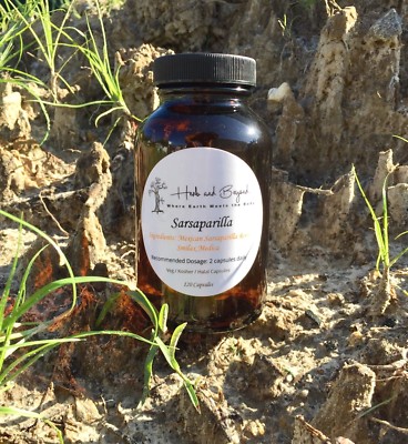 DR. SEBI - SARSAPARILLA  (Mexican)CAPSULES 100 -MADE FRESH!!!!