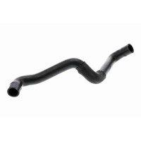 Vaico V25-2571 KüHlerschlauch FüR Ford, Mitte Links