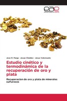 Estudio CinéTico Y TermodináMica De La RecuperacióN De Oro Y Plata | Spanisch